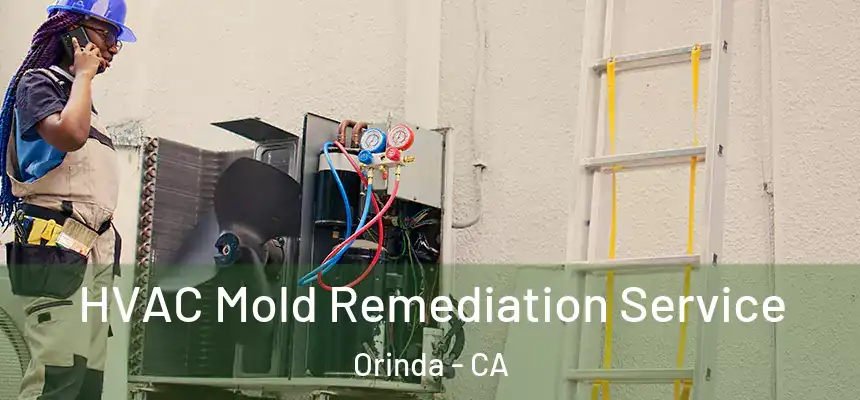  HVAC Mold Remediation Service Orinda - CA