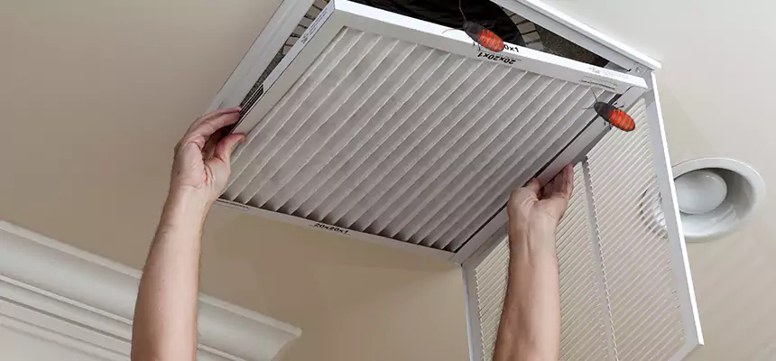 Preventive Cockroach-Proofing for Ducts in Orinda