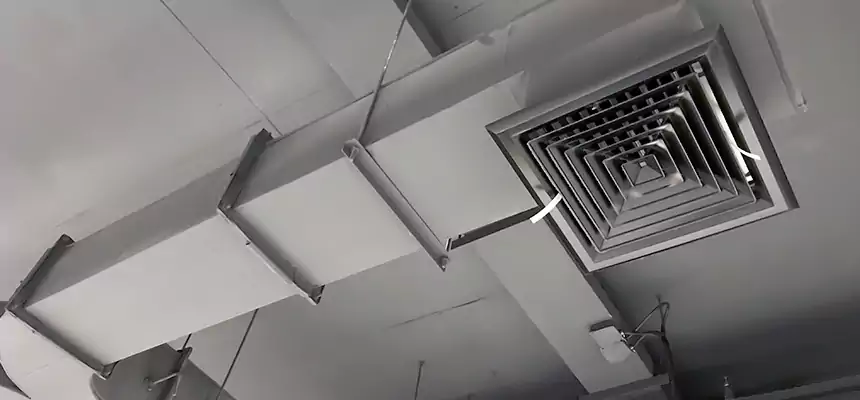 Restorative Allergy Relief Vent Cleaning – Coil, Blower & Housing Detail in Orinda