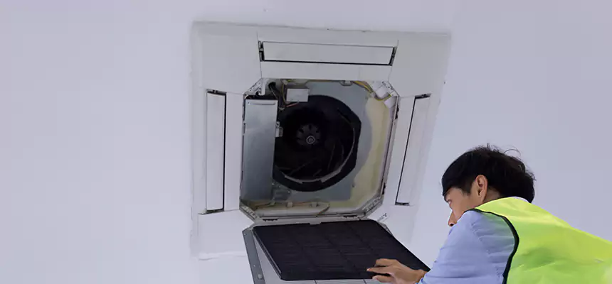 Our Dryer Vent Sanitization Service Services in Orinda, CA