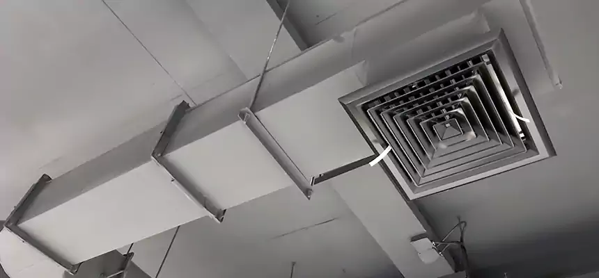 Our Pest Removal From Ducts Services in Orinda, CA