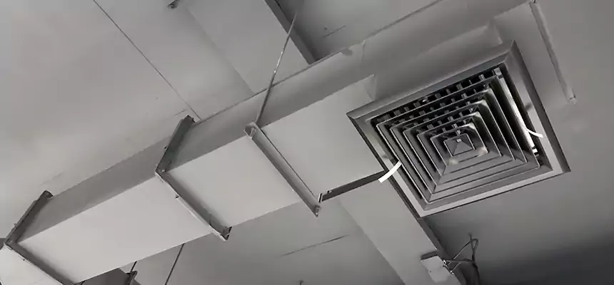 Our Rodent Droppings In Vents Services in Orinda, CA