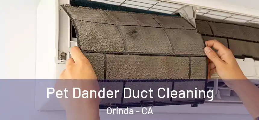  Pet Dander Duct Cleaning Orinda - CA