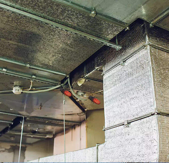 Why Homeowners & Businesses Trust Us in Orinda, CA?