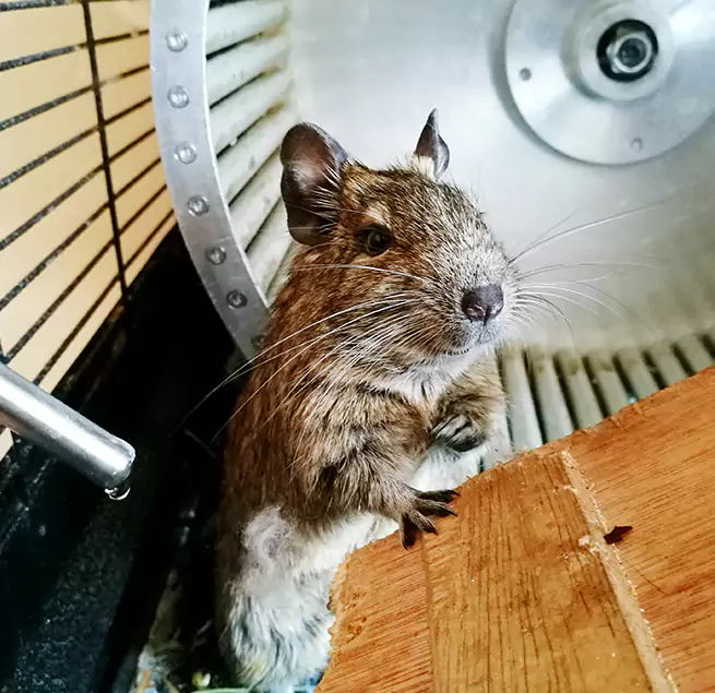 Why Homeowners & Businesses Trust Us Orinda, CA?