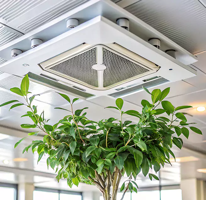 Why Homeowners & Businesses Trust Us in Orinda, CA?